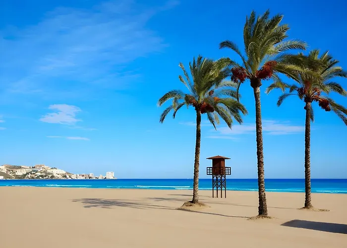 Con Piscina Aceptamos Solo Familias Con Piscina Privada Y Jardin Chalet Conil De La Frontera